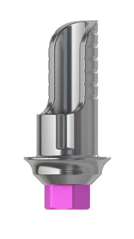 Esthetic CAD/CAM 4.5 GH1 AH 8